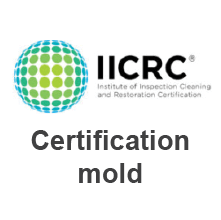 cert-mold